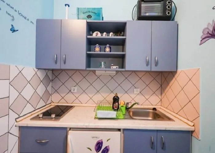 Tara Apartman Brbinj